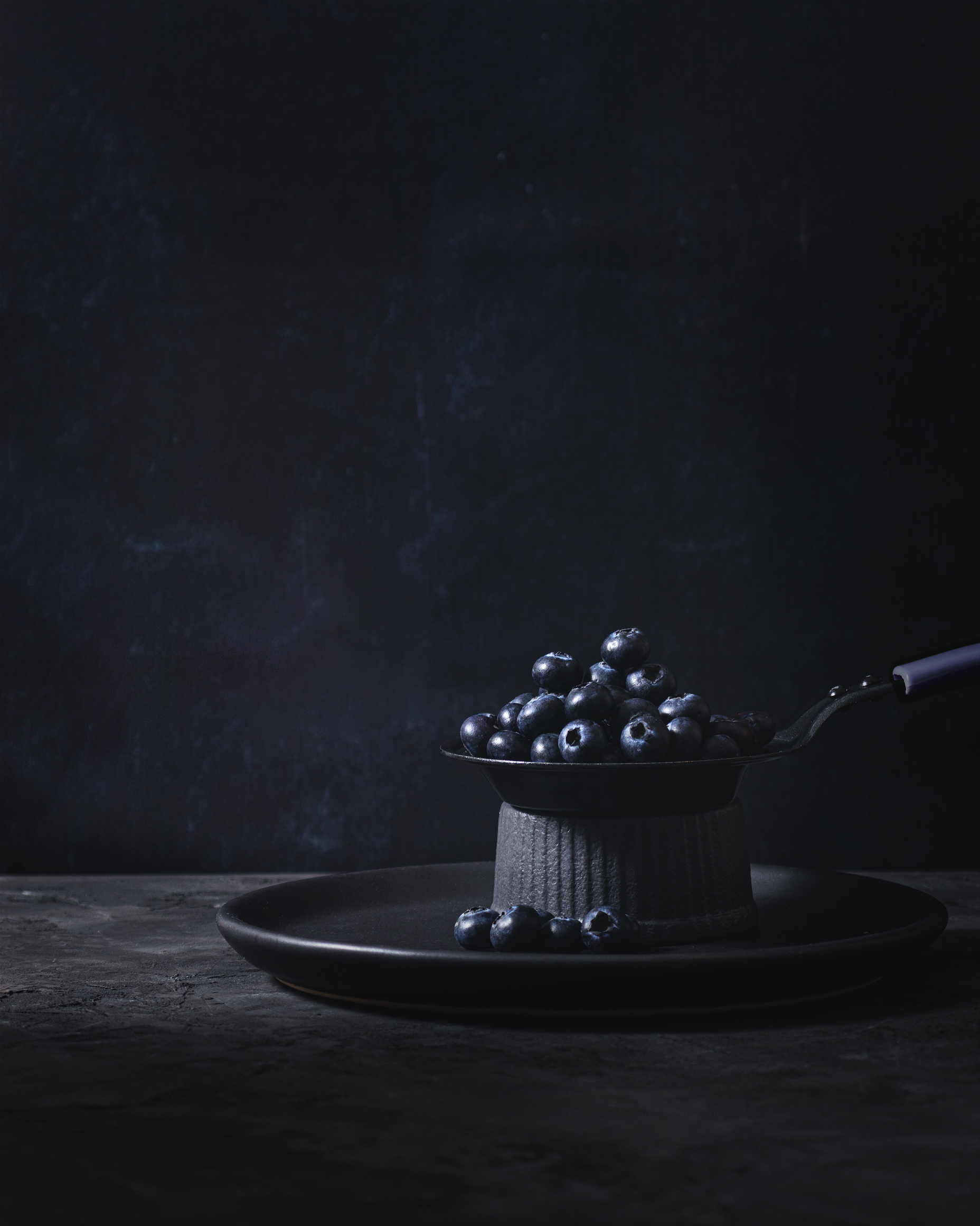 Arándanos, Blueberries, Dark and Moody