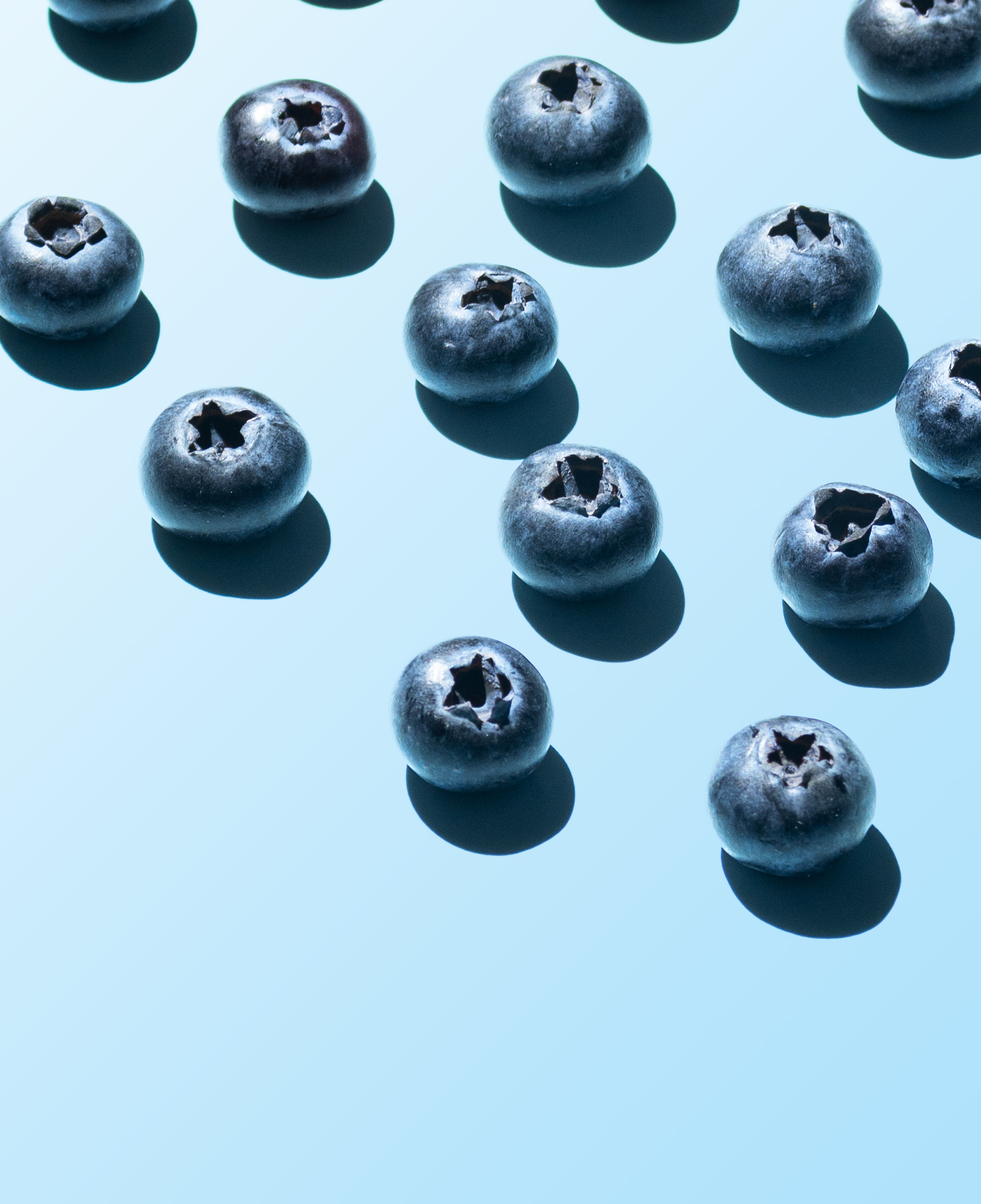 Arándanos, Blueberries, Dark and Moody