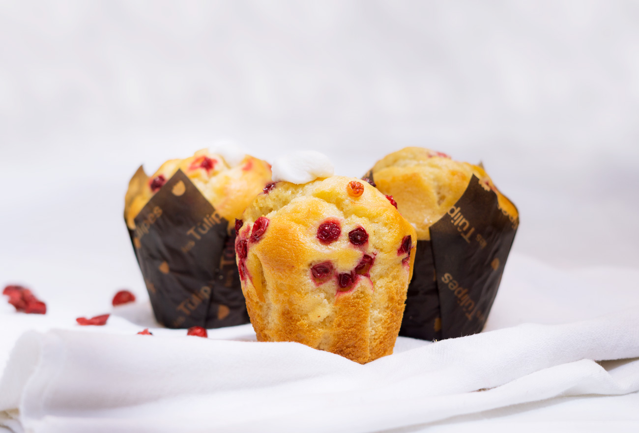 Fotografía de muffin de yogurt y arándanos